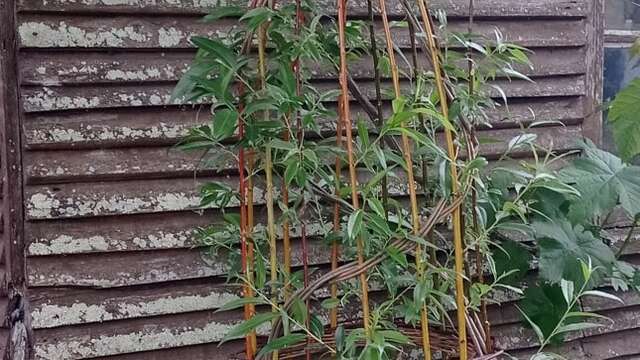 Atelier soleil d'Osier  - Françoise defaux