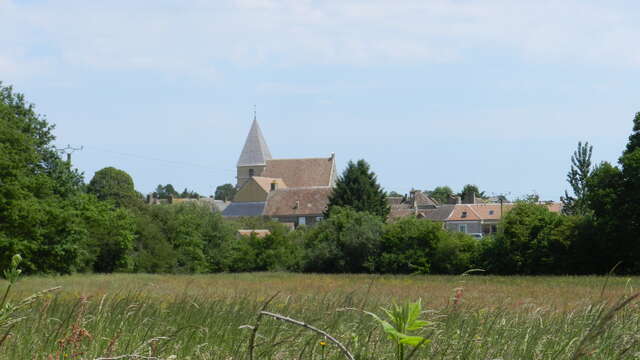 Randonnée pédestre printanière
