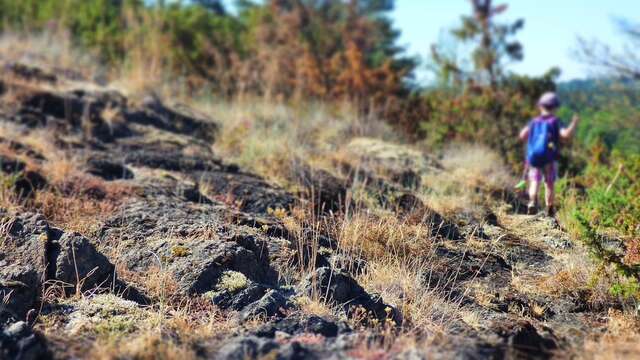 Landes serpentinicoles du Cluzeau et de la Flotte