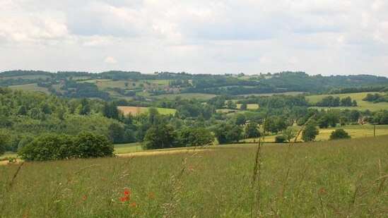 Circuit du Puy de Grammont