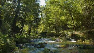 Circuit du château de Lavauguyon