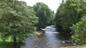Sentier des narcisses