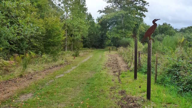 Le chemin du Héron au départ de Saillat-sur-Vienne