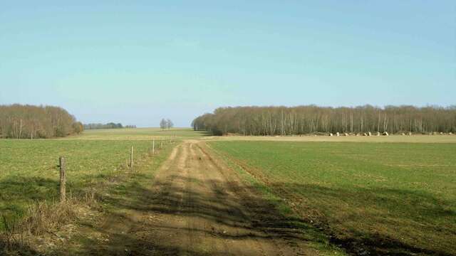Sentier Puy du Thé - piste 4