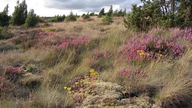 Sentier des bergers et tuiliers
