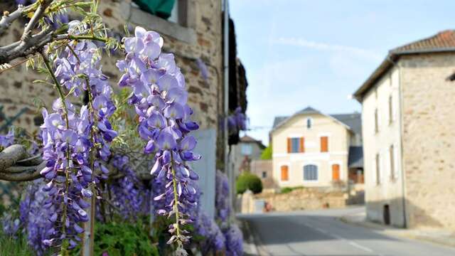 Chemin de Soumagnas