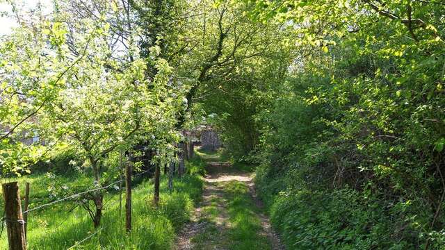 Sentier Entre Puys et Landes