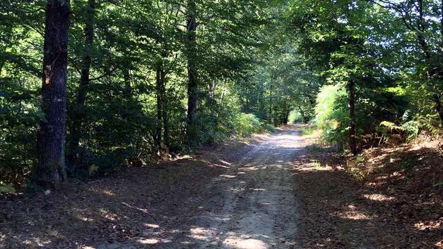 Sentier des Demoiselles