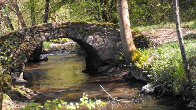 Circuit Des Bords d'Auzette