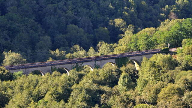 Sentier des gorges de la Vienne