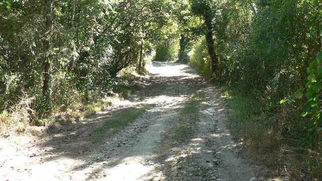 Chemin de la Galache à Lassalle