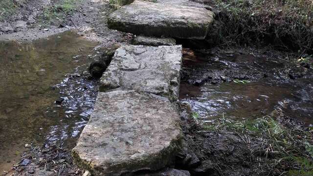 Sentier les biches