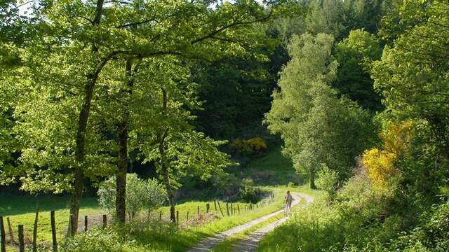 Sentier des étangs