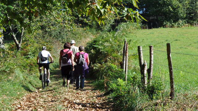 Circuit des Planches