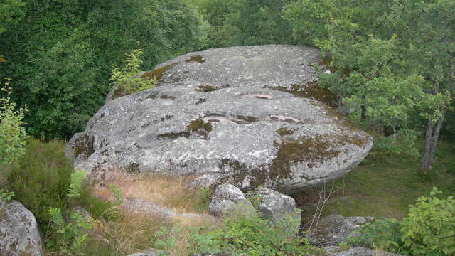 Roches Brunagères