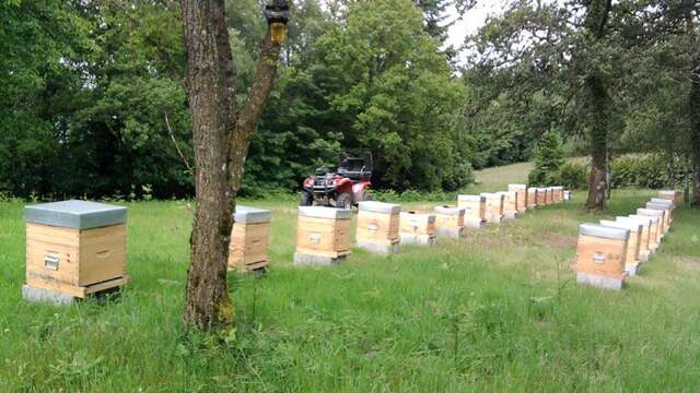 Visite et dégustation au Rucher de la Vauzelle