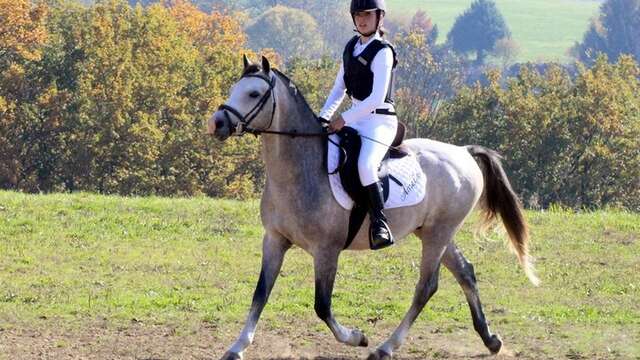 Centre équestre - Haras de Valdor