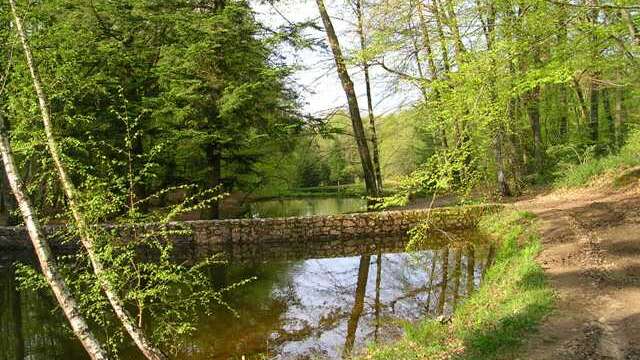 Tèrra Aventura : Logeons-nous dans les bois