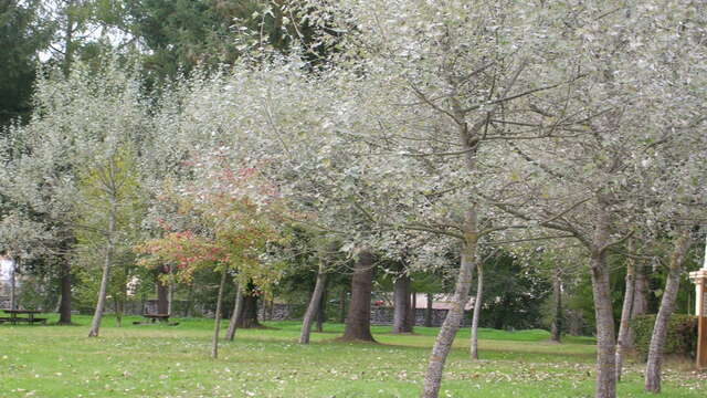 Parc d'Arliquet