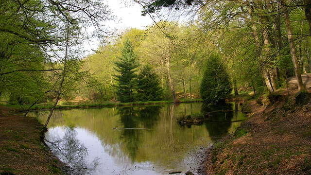 Sentier des étangs