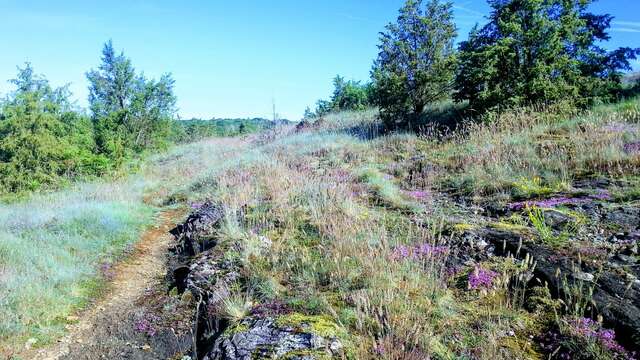 Tèrra Aventura : L’empreinte du loup