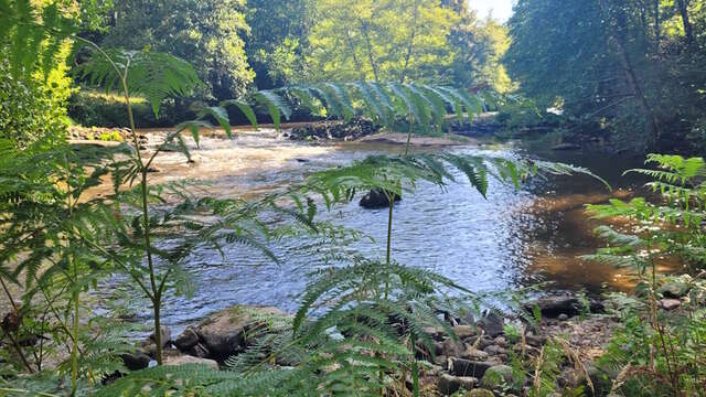 Balade bien-être au fil de l'eau - Août