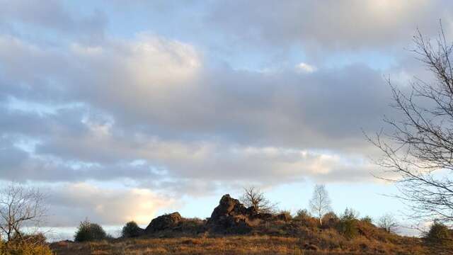 Sentier d'interprétation Landes du Cluzeau et de la Flotte