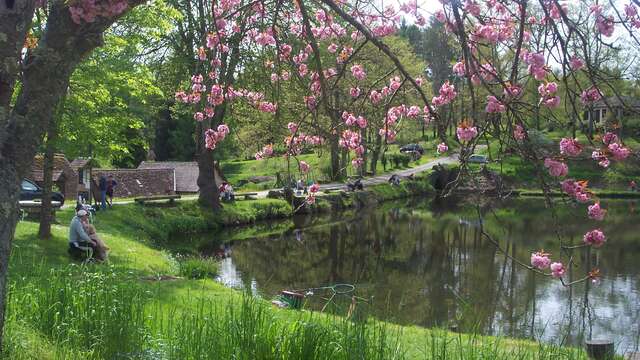 Pisciculture du Domaine du Moulin Authier