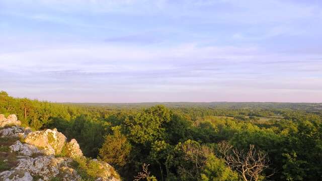 Les landes de la Butte de Frochet