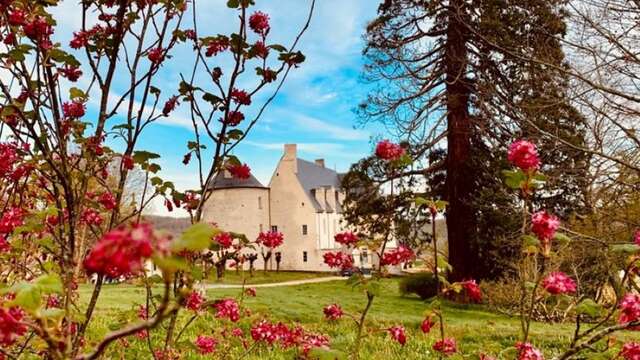 Château du Chambon