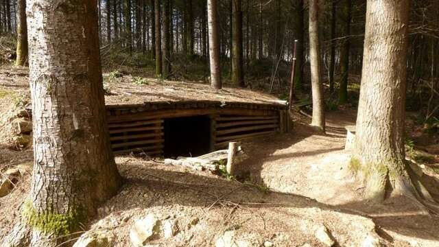 Terra Aventura : En poste dans la forêt de Boubon !