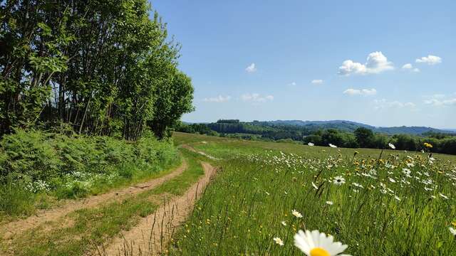 GRP®Monts et Barrages en Limousin - Etape 2 - De Bujaleuf à Saint-Julien-le-Petit
