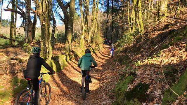 Espace VTT-FFC des Monts de Blond