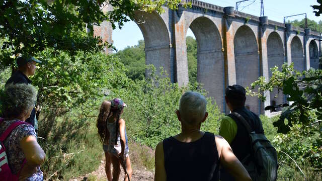 Visite guidée - Le viaduc de Rocherolles