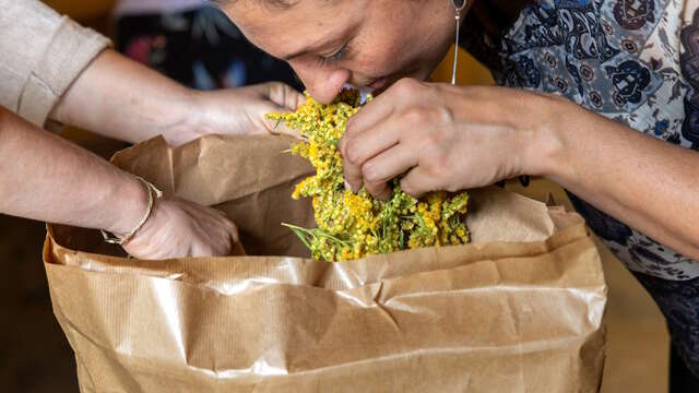 Découvrez les bienfaits des plantes sauvages - Septembre