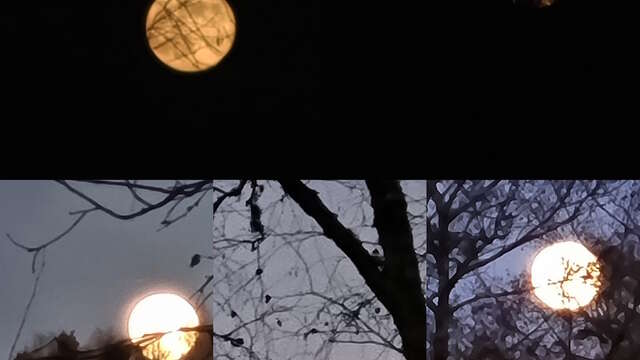 Soirée entre soleil et pleine lune - Août