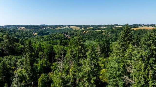 Découvrir le sentier d'interprétation de la forêt de Ligoure