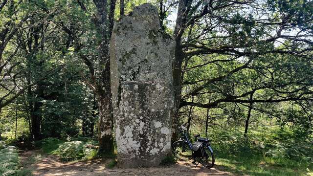 Circuit à vélo de Oradour-sur-Glane à Mortemart