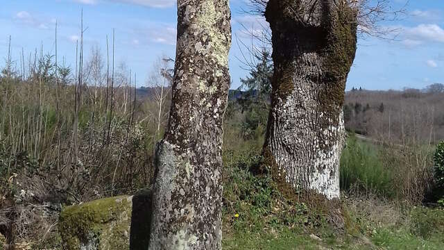 Menhir de la Croix Parot