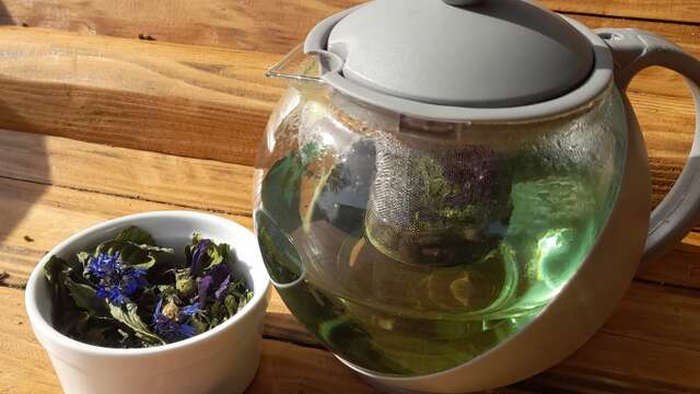 Atelier : créer son infusion