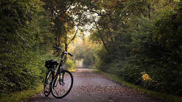 Bella'Cycles - Location de vélos à assistance éléctrique