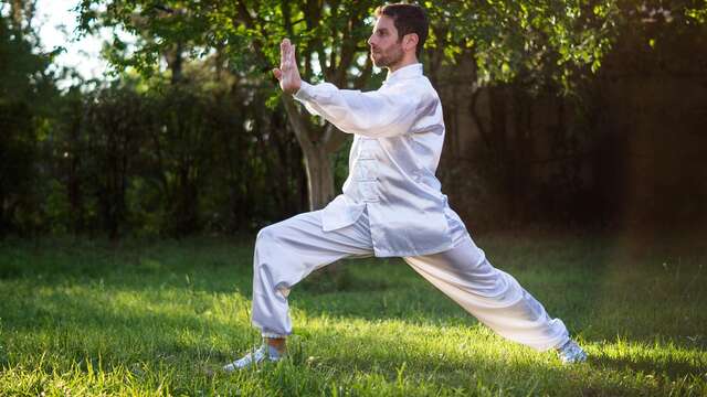 Stage d'été de Qi Gong