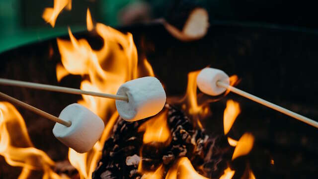 Chamallow grillés au camping des Roussilles