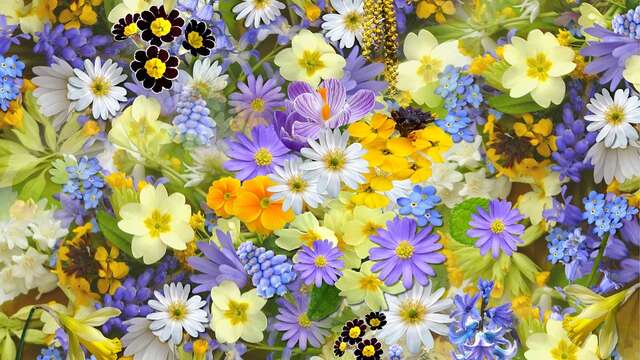 10ème Fête des Plantes, du Jardin et de la Nature