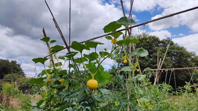 Initiez-vous à la permaculture à Saint-Laurent-les-Eglises - Mai
