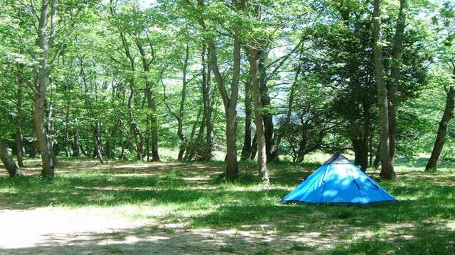 CAMPING A LA FERME LAVALDIEU