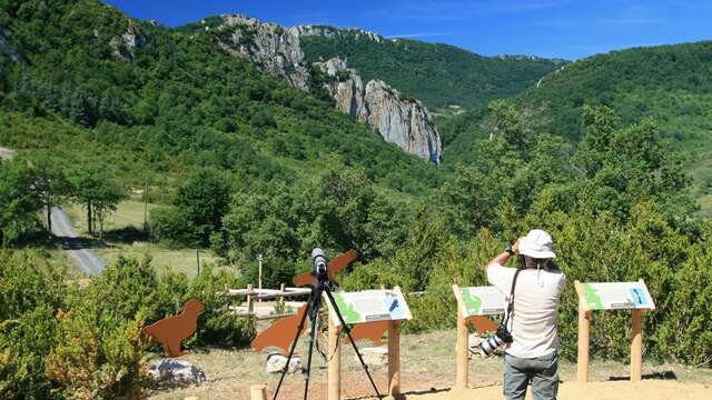 ARTISTES À SUIVRE 2026 - OBSERVATOIRE DES VAUTOURS