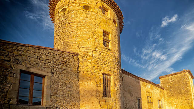 VISITE GUIDEE DU CHÂTEAU DES SEIGNEURS