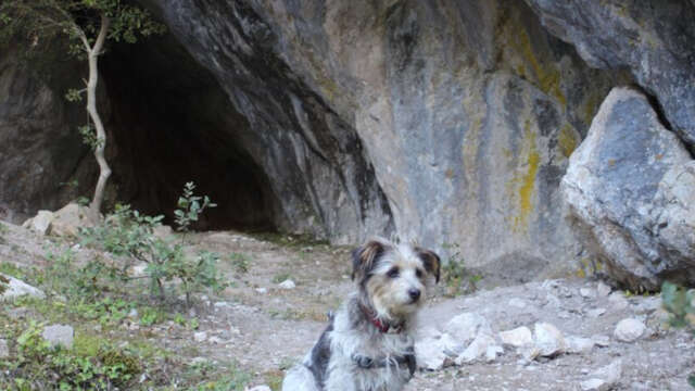 VISITE GUIDÉE : LA GROTTE BLEUE ET LA FONTAINE DES 4 RITOUS