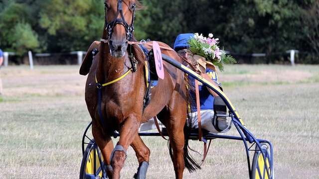 Course de trot à l'Hippodrome de Lisieux - Premium